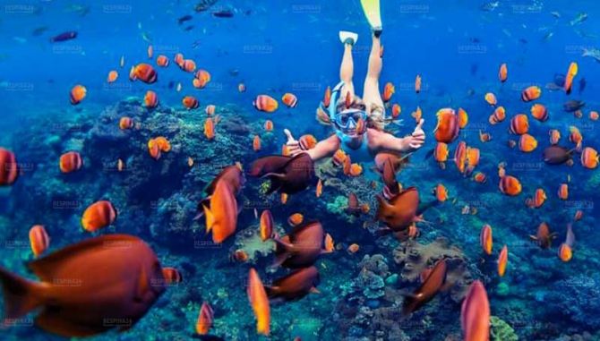  تور تایلند - رسپینا 24